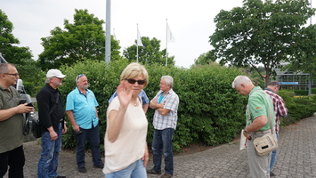 dsc09430.jpg